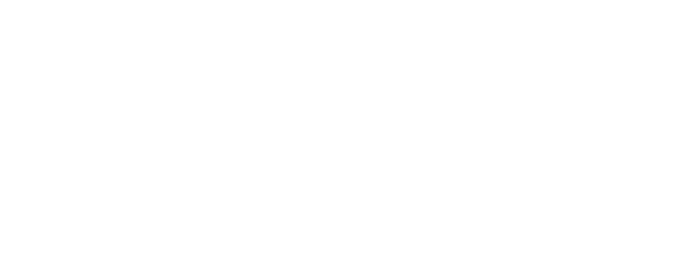 Logo Belmar Boutique Pets